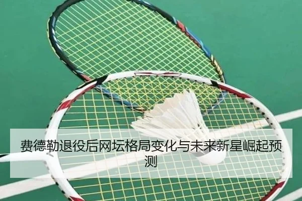 费德勒退役后网坛格局变化与未来新星崛起预测